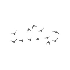Flying birds silhouettes. Vector illustration 