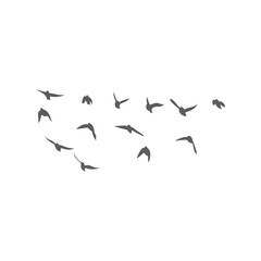 Flying birds silhouettes. Vector illustration 