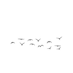 Flying birds silhouettes. Vector illustration 
