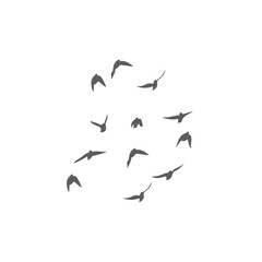 Flying birds silhouettes. Vector illustration 