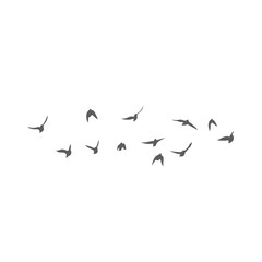 Flying birds silhouettes. Vector illustration 