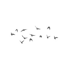 Flying birds silhouettes. Vector illustration 