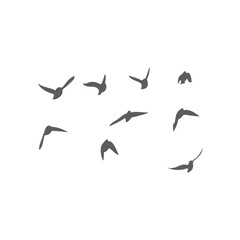 Flying birds silhouettes. Vector illustration 