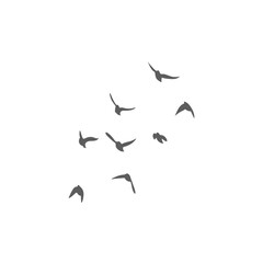 Flying birds silhouettes. Vector illustration 