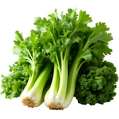 Fresh parsley isolated on white background,  PNG transparent,
