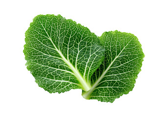 Chopped Napa Cabbage Leaves Showing Texture and Veins, On Transparent Background, Png