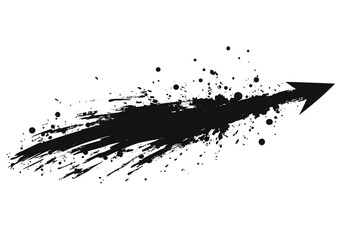 Black ink splash on white background.
