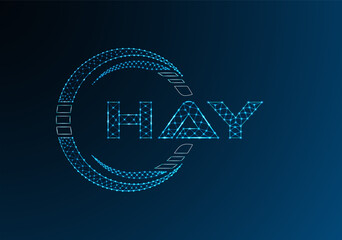 HAY low poly letter logo vector design. HAY lower poly logo design.