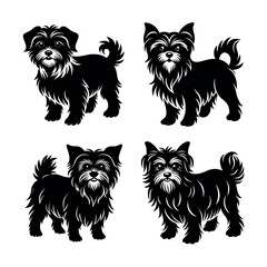 set of dogs Affenpinscher