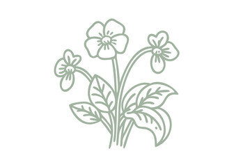 Alaska Violet Outline Illustration, Viola Langsdorfii