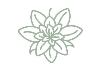Alpine Azalea Line Art Vector Illustration