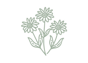 Minimalist Alpine Arnica Flower Line Art Illustration
