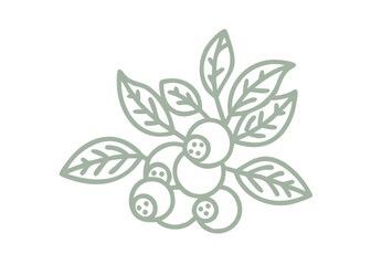 Minimalist Blueberry Branch Line Art Illustration