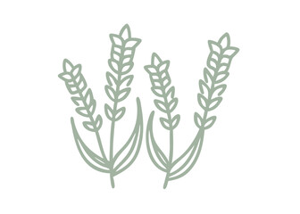 Ladies Tresses Orchid Minimalist Line Art