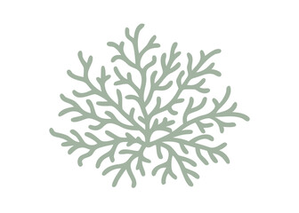 Reindeer Moss Cladina Rangiferina Isolated Vector
