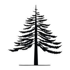 A vibrant set of evergreen Christmas trees, perfect for holiday season illustrations, gift, winter, natural, coniferous, decorations, seasonal, happy, greenery, festive. 