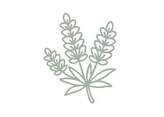 Minimalist Lupine Flower Illustration, Sage Green