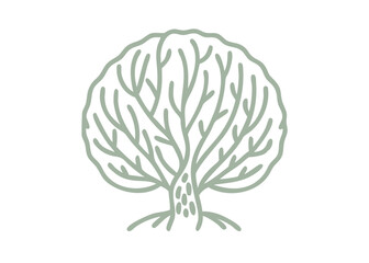 Minimalist Willow Tree Illustration - Salix Bebbiana