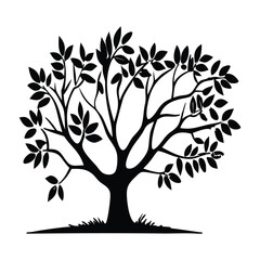 Obraz premium Vector silhouette of a tree with leaves, illustrating nature's growth through all seasons with an eco-friendly design and symbolic life