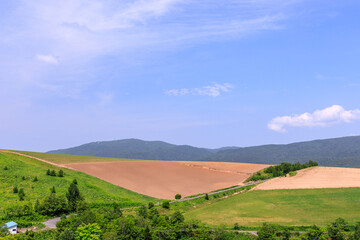 Fototapeta premium 北海道芦別市、新城町の丘陵に広がる畑【6月】