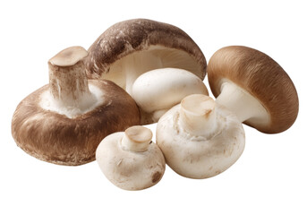 Group of Mushrooms Including Portobello, Button, and Shiitake Arranged on White Background, On Transparent Background, Png