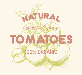 Natural sweet and juicy tomatoes.  tomato vintage t-shirt design. Organic vegetable farm. Tomato vegetable artwork for t shirt print, poster, sticker and other uses. Organic vegetable farm.