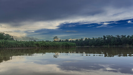 Morning in the jungle. Thickets of rain forest on the banks of a tropical river. The clouds in the blue sky are highlighted in gold. Reflection on the shiny calm surface of the water. Malaysia. Borneo
