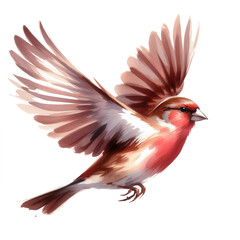 Obraz premium Watercolor Bird in Flight