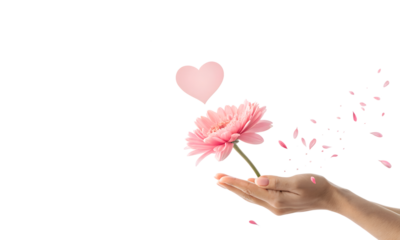 Hand holding a single pink flower on a stick.