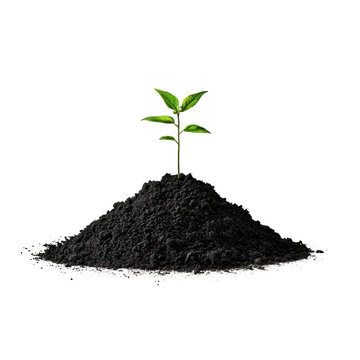 recommend clip art: Young plant sprout in soil pile isolated on transparent background