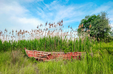 An old wooden fishing boat that has served its time