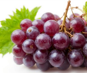 Fototapeta premium grape fruit white isolated background