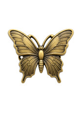 Fototapeta premium Decorative butterfly belt buckle