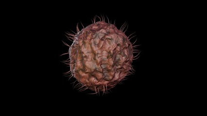 Cryptobiosis. Anhydrobiosis. Organism drying out entering dormant state.  Seed dries up entering dormancy. 3d render illustration