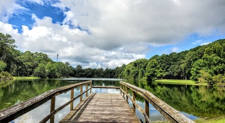 Obraz premium wooden bridge over lake