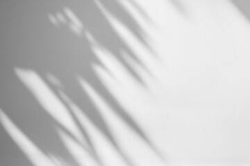 Light Shadow Overlays