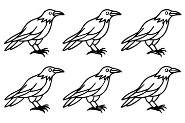 Elegant Crow Sketch Pack