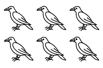 Elegant Crow Sketch Pack