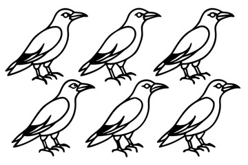 Elegant Crow Sketch Pack
