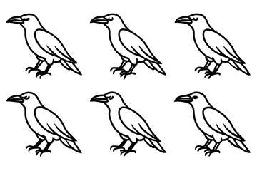 Elegant Crow Sketch Pack