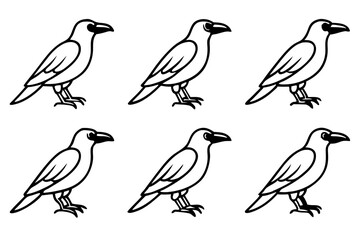 Elegant Crow Sketch Pack