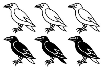 Elegant Crow Sketch Pack