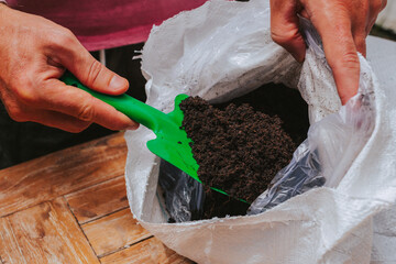 Men's hands scoop up the black soil from the bag. The process of planting plants and seedlings.