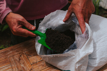 Men's hands scoop up the black soil from the bag. The process of planting plants and seedlings.