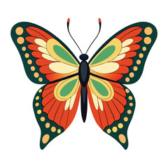 butterfly isolated on white background