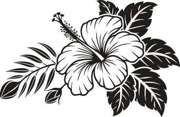 Hibiscus Flower Illustration Design. Hand Drawn Hibiscus Bloom Art. Tropical Hibiscus Flower Outline. Hibiscus Botanical Line Drawing. Elegant Hibiscus Floral Design