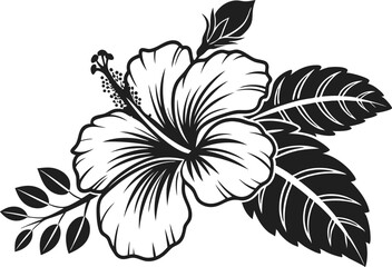 Hibiscus Flower Illustration Design. Hand Drawn Hibiscus Bloom Art. Tropical Hibiscus Flower Outline. Hibiscus Botanical Line Drawing. Elegant Hibiscus Floral Design