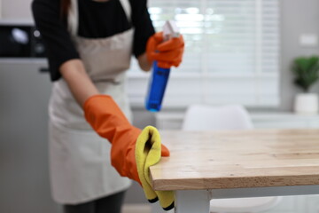 A cheerful young woman confidently cleans her apartment, embracing weekend chores with a smile, showcasing hygiene, responsibility, and domestic life indoors.
