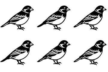 Finch Bundle Set Minimalist Line Art Vector