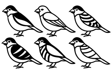 Finch Bundle Set Minimalist Line Art Vector